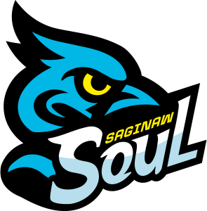 saginawsoul_logoset1